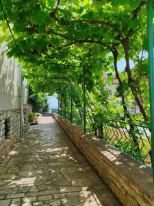 uma passagem com árvores verdes e uma cerca em Apartment Nina em Rovinj