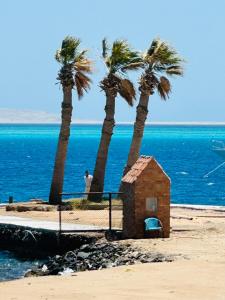 a small building on the beach with palm trees at RITA HOUSE SEA VIEW. Hurghada center in Hurghada