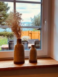 two vases sitting on a window sill with flowers at Sommerhaus Reethaus "M" in Grödersby