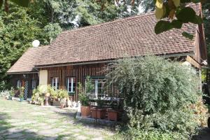 シュタインツにあるPresshaus Alte Mühleの鉢植えの小屋