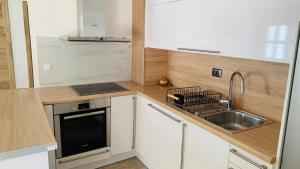 ポヴリャナにあるApartman Marinaのシンクとコンロのある小さなキッチン