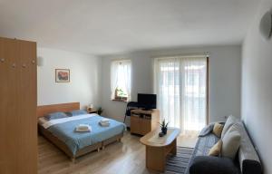 ein Wohnzimmer mit einem Bett und einem Sofa in der Unterkunft Apartmán Janka in Oščadnica