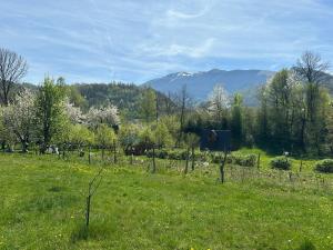 Příroda nedaleko apartmánu + 3 fotografie