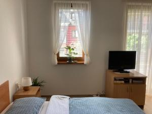 1 dormitorio con 1 cama, TV y ventana en Apartmán Janka, en Oščadnica