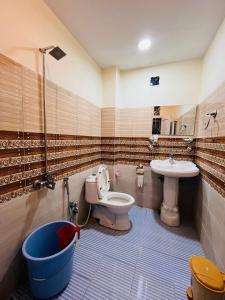 史卡杜的住宿－Blue Sky Hotel & Restaurant，一间带卫生间和水槽的浴室