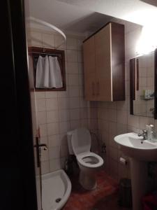 a small bathroom with a toilet and a sink at Seafront dream Villa, Ierissos in Ierissos +17 photos