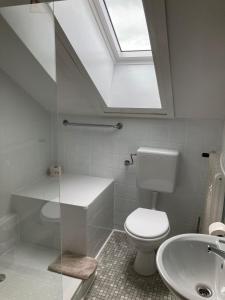 ein Badezimmer mit einem WC, einem Waschbecken und einem Dachfenster in der Unterkunft Bed & Breakfast Weisser Stein in Schmallenberg