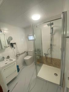 a bathroom with a shower and a toilet and a sink at Villa Luiza in Şura Mare