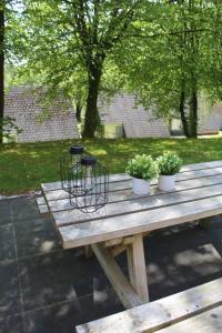 una mesa de picnic de madera con tres macetas. en L'Écureuil - Terrasses de Malmedy en Malmedy
