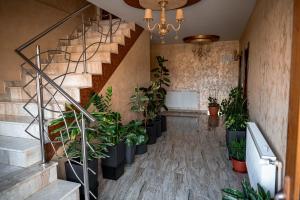 Billede fra billedgalleriet på Pensiunea Teo i Caransebeş