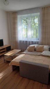 a bedroom with a large bed and a window at Good Apartament Skawina in Skawina