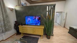 einen TV auf einer Kommode im Wohnzimmer in der Unterkunft Appartment Rosengarten in Baden