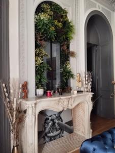 einen Kamin im Wohnzimmer mit Pflanzen darauf in der Unterkunft Prestigieuse Suite Princeteau in Libourne