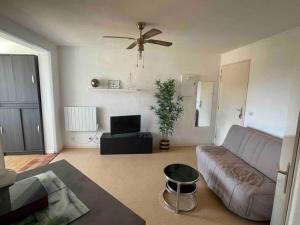 TV a/nebo společenská místnost v ubytování Appartement Port Leucate