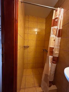y baño con ducha y cortina de ducha. en Retro Rooms, en Loutra Edipsou