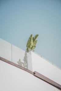 Fotografie z fotogalerie ubytování SCIABICA SUITE - Sicilian Experience v destinaci Favara