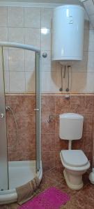 a bathroom with a toilet and a shower stall at Apartman Vesna in Igalo +22 photos