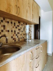 uma cozinha com armários de madeira e um lavatório em Sevan - Artanish Beach Resort em Artanish