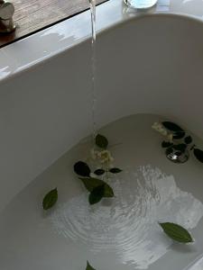una vasca da bagno riempita d'acqua con una pianta di Eco cottage sunrise merisi a Merisi