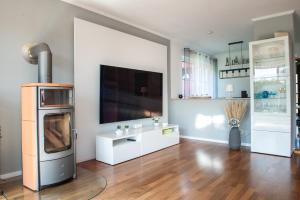 uma sala de estar com lareira e uma televisão de ecrã plano em Ferienhaus Eisenach em Eisenach