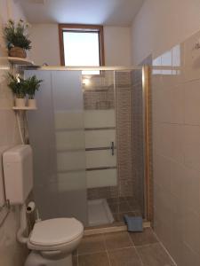 a bathroom with a shower with a toilet and a sink at CASA JUANNE iun P2043 in Galtellì