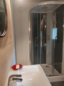 a bathroom with a white sink and a shower at Studio dans la forêt provençale in Jouques