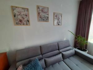 Gallery image of Apartament pod Dębem in Dąbki +10 photos