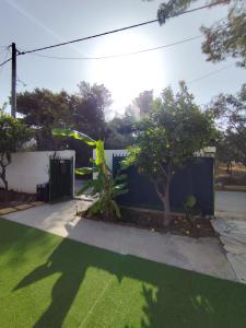 a yard with green grass and a fence at Johnson House in Rafina