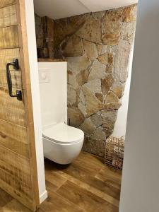 bagno con servizi igienici e parete in pietra di La Bergerie de l'Alivettu en Corse ad Alata Altre 41 foto