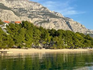 ein Strand mit Bäumen vor einem Berg in der Unterkunft Spacious family apartment near the beach in Makarska + 21 Fotos