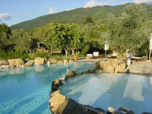een groot zwembad met rotsen in een tuin bij B&B I Trebbiali in Reggello