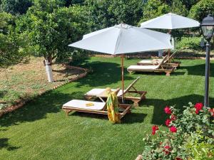 A garden outside BELLA CISTERNA