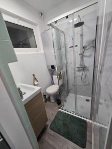 a bathroom with a shower and a sink and a toilet at Logement Romantique Jacuzzi spa in Vieille-Toulouse