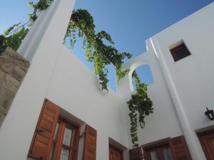 a white building with doors and ivy on it at Mitsi Studios in Naousa