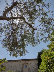 une branche d'arbres avec un bâtiment en arrière-plan dans l'établissement La Maison Des Autres, piscine chauffée, chambres d'hôtes proches Uzès, Nîmes, Pont du Gard, à Saint-Géniès-de-Malgoirès