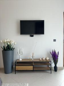 TV a/nebo společenská místnost v ubytování Golf Coast Boutique Studio with sea view