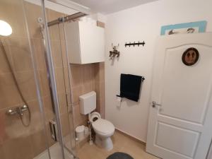 a bathroom with a toilet and a glass shower door at Retreat House Herneacova in Herneacova +55 photos
