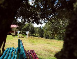 a green park bench sitting in a field at Cabaña Ceeport in Paipa
