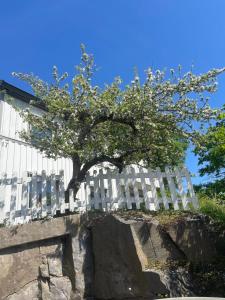 a white fence with a tree on top of it at Mysig lägenhet, nära det mesta! in Uddevalla
