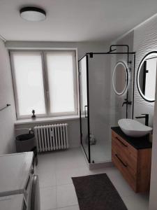 a bathroom with a sink and a shower with a mirror at Centrum Poprad Apartment in Poprad