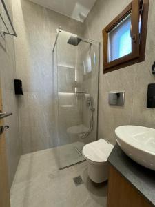 La salle de bains est pourvue d'une douche, de toilettes et d'un lavabo. dans l'établissement Aegean View Mikro Pelion, à Mikro