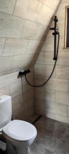 ein Badezimmer mit Toilette und Schlauch an der Wand in der Unterkunft Păltinel in Braşov