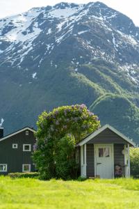 a house in a field with a mountain in the background at lovely UNDERGROUND flat ÅNDALSNES in Åndalsnes
