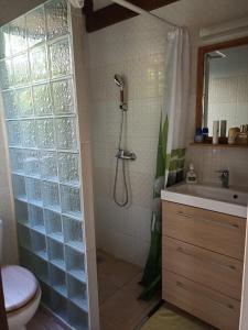 a bathroom with a shower and a toilet and a sink at Kaz Créole Aventure Tropicale Insolite, Fibre, Jardin et Jacuzzi Privés in Saint-François