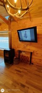 普耶韋的住宿－Cabaña Puyehue，一间客厅,位于一间小屋内,配有平面电视。
