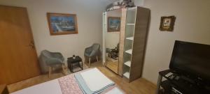 TV a/nebo společenská místnost v ubytování Apartments Bosnjak