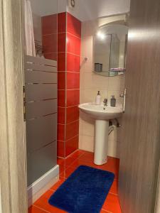 un piccolo bagno con lavandino e specchio di Central & Riverfront Room a Édessa