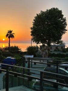 Naturlandskabet i nærheden af lejligheden