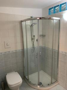 a bathroom with a shower and a toilet at Casa sul porto imbarco Tremiti in Termoli