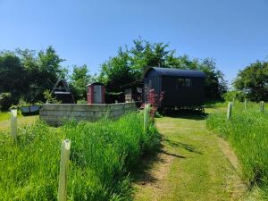 a garden with a black shed and a fence at Stompy's Hut in Laxfield